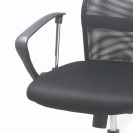 Xtech Torin Executive or Computer  Chair with armrests